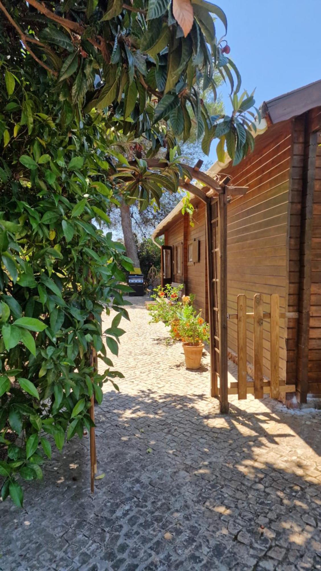 Chalet Villa Mosquito Silves Exterior foto
