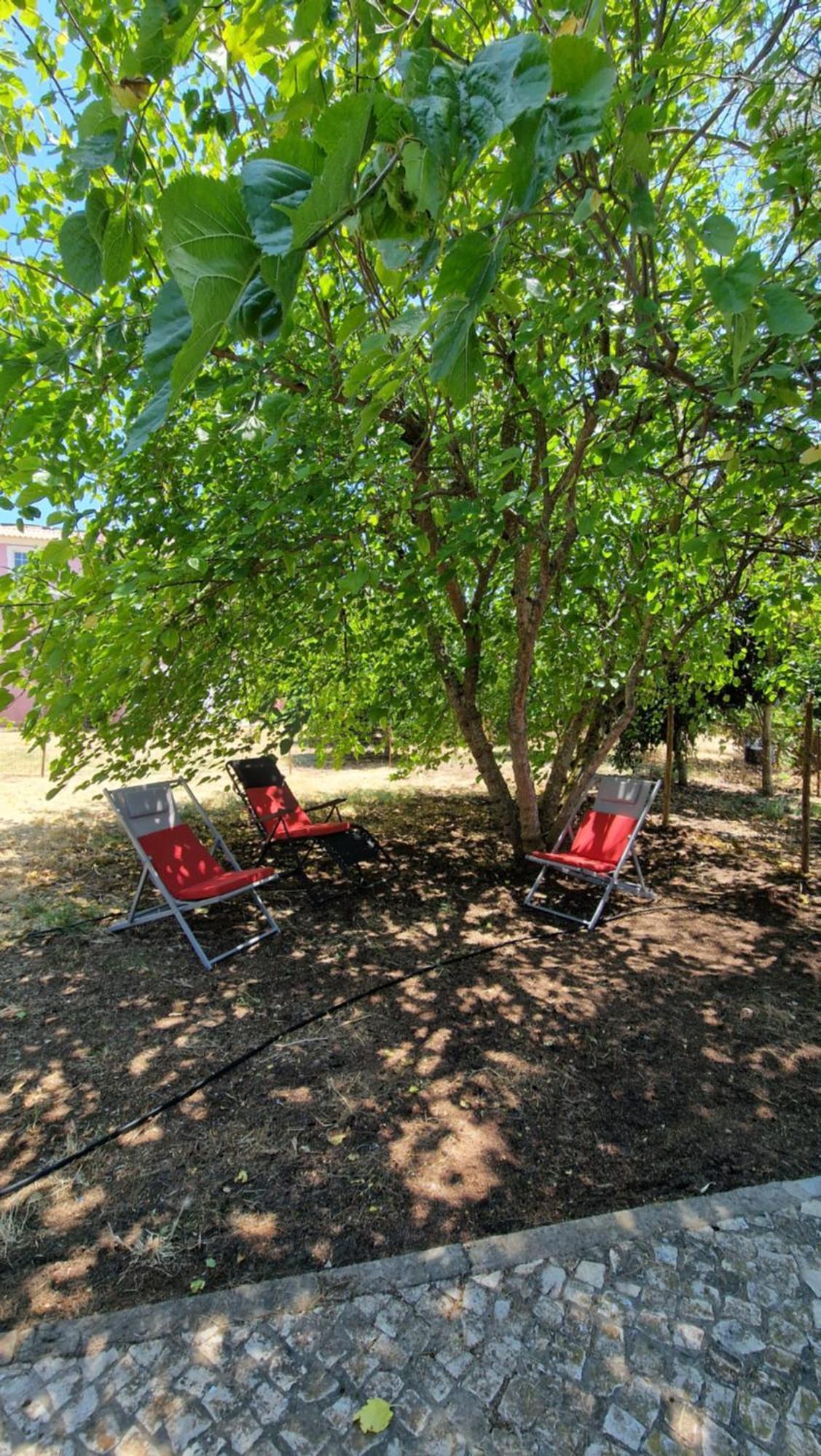 Chalet Villa Mosquito Silves Exterior foto
